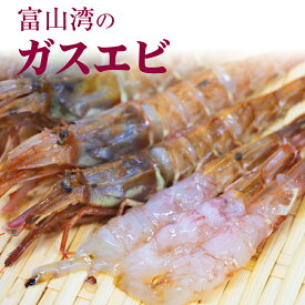 ガスエビ 送料無料 海老 エビ 塩焼き 酒の肴 ご飯のお供 珍味 富山 お祝い ごちそう 刺身 お祝い 五本水産 お取り寄せ グルメ 富山湾 海鮮 業務用 業者様向け 法人 飲食店向け ご自宅用 ギフト 贈り物 大容量 お得用 お取り寄せグルメ