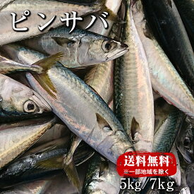ピンサバ サバ 鯖 お酒のお供 ご飯のお供 DHA EPA 青魚 焼き魚 サバの味噌煮 塩焼き ギフト 富山湾　五本水産 海鮮 栄養 お取り寄せ グルメ 富山湾 海鮮 業務用 業者様向け 法人 飲食店向け ご自宅用 ギフト 贈り物 大容量 お得用 訳あり お得