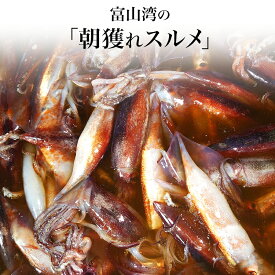 富山湾のスルメイカ 送料無料 海老 イカ 塩焼き 酒の肴 ご飯のお供 珍味 富山 お祝い 刺身 イカ刺し イカ焼き お祝い 五本水産 お取り寄せ グルメ 海鮮 業務用 業者様向け 法人 飲食店向け ご自宅用 ギフト 贈り物 大容量 お得用 お取り寄せグルメ