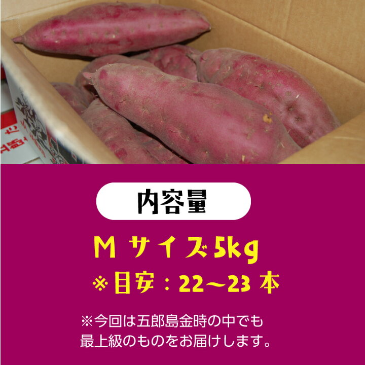 楽天市場 お買い物マラソン限定800円offクーポン配布中 ブランドさつまいも 五郎島金時 5kg 送料無料 最上級品 Mサイズ 22 23本 加賀野菜 五郎島金時 石川県産 国産 お取り寄せ グルメ 芋 いも イモ さつま芋 薩摩芋 さつまいも サツマイモ アーリーゲッター