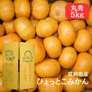 yЂƂ݂ ۏG 5kgz{茧Y ݂    Ε  Mtg ~J IW t[c ʕ Y