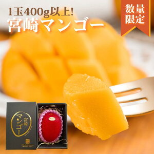 ���Ԍ��聕���ʌ���I�y�{�� ���n�}���S�[�z1�� 3L�T�C�Y 400g ���� �t���[�c �ʕ� �M�t�g �����p ������ �����n �v���[���g