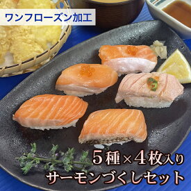 【スーパーセール限定10%OFF】【5種入 サーモンづくしセット】ワンフローズン加工 サーモントラウト ノルウェー産 ギフト プレゼント 父の日 お歳暮 お中元 お取り寄せ 海鮮 魚介 サーモン サケ 鮭 つまみ 海鮮丼 刺身 魚 生魚