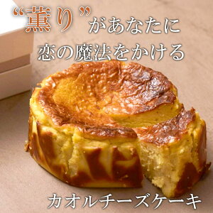  񂹃O capi JI`[YP[L a O Mtg j j v[g