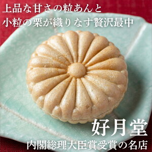 D DŒ Sَq唎œtb܂܂aَq̘V Ȃ L  aَq   Mtg 