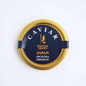 ibĉ悤ȕƊ炩ȐGBXł̗̍pNo.1BKALUGAQUEENVAX^[W@IVFgv~Ay1/10gz