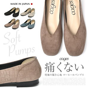 yzCAGES P[WX [q[ pvX 29510 ubN `R[ 2E ɂȂ  w Ǝ A AE  {@pvX@₷@fB[X@y