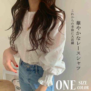 fB[X ԕ [XgbvX  o[ Vc uEX V[X[Ci[y傫TCY fB[X H~ `jbN tH[} ItBX {E^C VtH Vc C