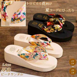 r[`T_ ԕ T_ X|[cT_ gsJ CӁy傫TCY fB[X ₷ ItBX x_ H~ ~[ JWA sandal mulez