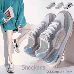 x[VbN  Xj[J[ RC V[Y X^CAbv x[VbN ʋCy傫TCY fB[X nCJbg ₷ Ȃ Xj[J[ LbY pvX C shoes sneakersz