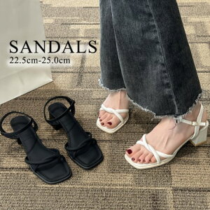 fB[X I[vgD X^CAbv 5cm  ubN r r `L[q[y傫TCY fB[X ₷ ItBX x_ H~ ~[ JWA sandal mulez