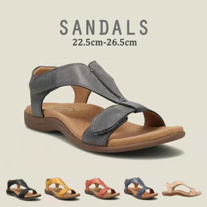 fB[X I[vgD ؂ Vv ₷ ꂢ JWA  ItzCgy傫TCY fB[X rW[ Xgbv JV Ȃ Xj[J[ shoes sneakersz