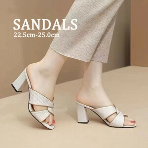 fB[X I[vgD Vv ₷ `L[q[ zCg  X^CAbvy傫TCY fB[X rW[ Xgbv JV Ȃ Xj[J[ shoes sneakersz