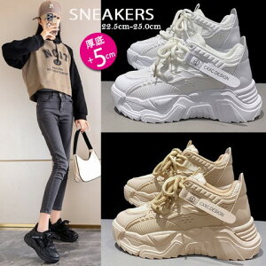 fB[X _bhXj[J[ RC V[Y {[\[  jO U ry傫TCY fB[X nCJbg ₷ Ȃ Xj[J[ LbY pvX C shoes sn