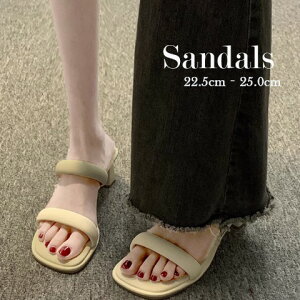 fB[X T_ X^CAbv I[vgD ₷ [q[ ubN  6cmy傫TCY fB[X ₷ ItBX x_ H~ ~[ JWA sandal mulez