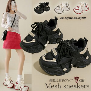 fB[X bVXj[J[ RC V[Y {[\[  ry傫TCY fB[X nCJbg ₷ Ȃ Xj[J[ LbY pvX C shoes sneakersz