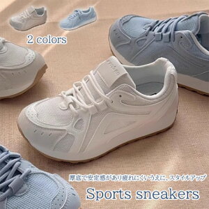 fB[X bVXj[J[ RC V[Y {[\[  ry傫TCY fB[X nCJbg ₷ Ȃ Xj[J[ LbY pvX C shoes sneakersz