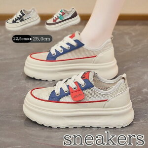 x[VbNXj[J[ {[  ʋC jZbNX rXj[J[ 5CMy傫TCY fB[X nCJbg ₷ Ȃ Xj[J[ LbY pvX C shoes sneakersz