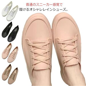 CXj[J[ fB[XV[Y hV[Yy傫TCY fB[X Ȃ Xj[J[ u[c pvX C WjA shoesz