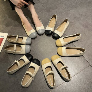 INSX^C VOV[Yy傫TCY fB[X Ȃ Xj[J[ u[c pvX C WjA shoesz