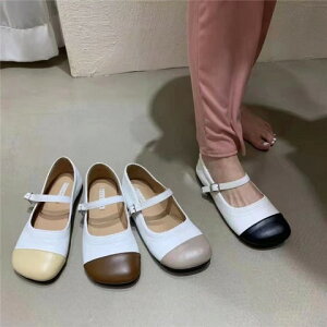 ꎚ^{^ VOV[Yy傫TCY fB[X Ȃ Xj[J[ u[c pvX C WjA shoesz