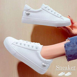 Xj[J[ fB[XV[Y [XAbv [Jbg C ₷ tbgV[Yy傫TCY fB[X nCJbg ₷ Ȃ Xj[J[ LbY pvX C shoes s