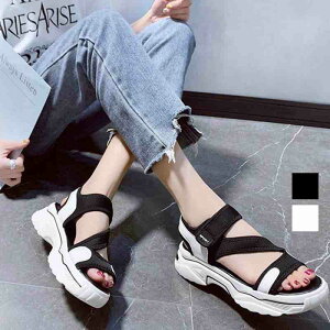  X|[cT_ }WbNe[vy傫TCY fB[X ₷ ItBX x_ H~ ~[ JWA sandal mulez