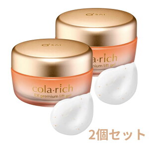 2個セット コラリッチ EX プレミアムリフトジェル オールインワンジェル 55g 東京南倉庫