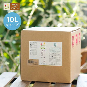 sVR̍́tChCA[X  t̂ 10L L[u m ChCA[X n { RRV L VR  H oX^u 䏊 I[KjbN Rbg  h