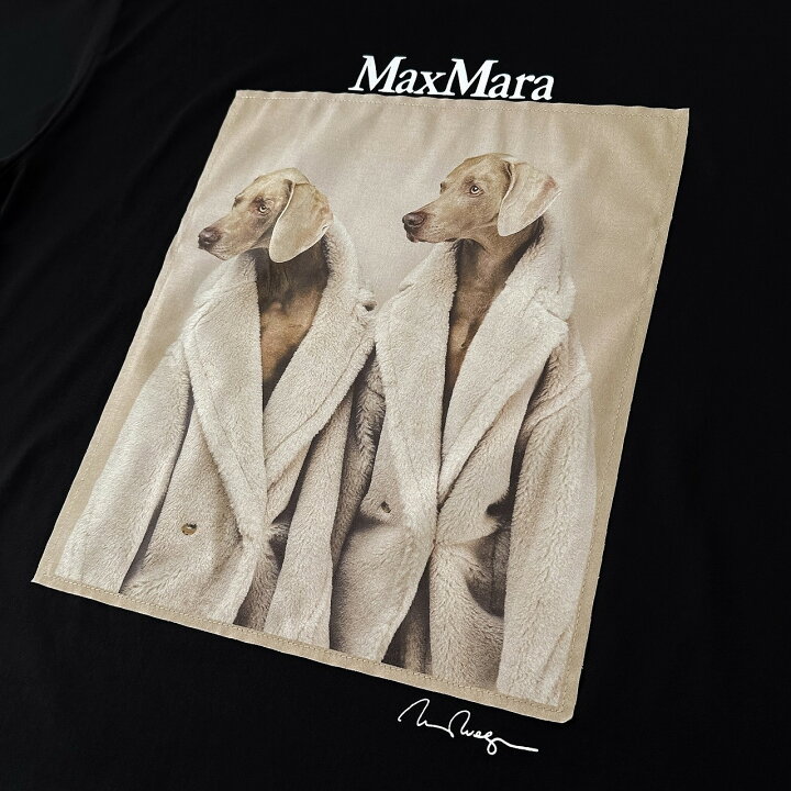 楽天市場】Max Mara マックスマーラ コットン 半袖 Tシャツ TACCO 