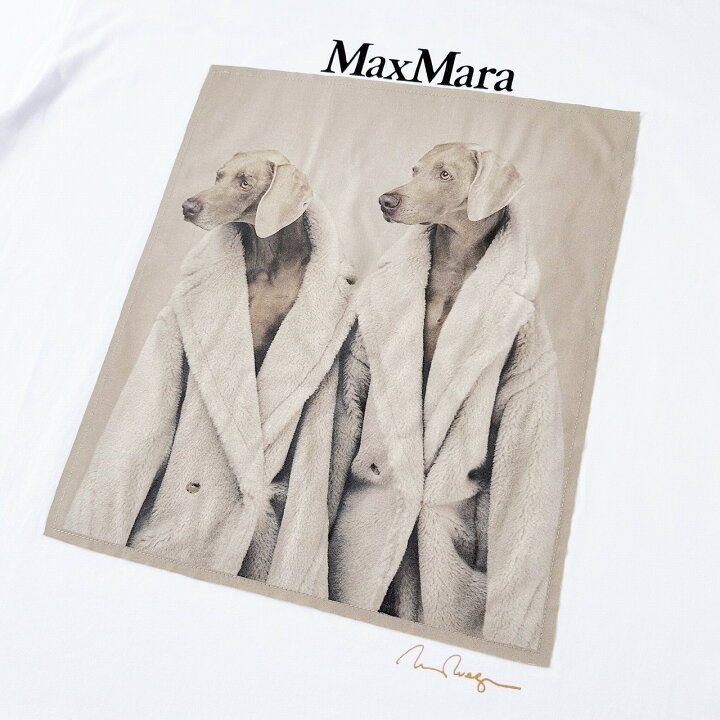 楽天市場】Max Mara マックスマーラ コットン 半袖 Tシャツ TACCO 