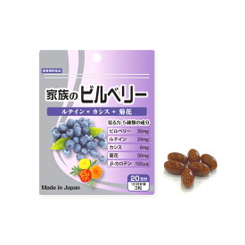 【正規代理店】家族のビルベリー 60粒 NNKトレーディング