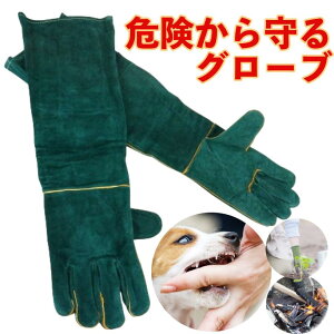 yVLO1ʊlI@݂ h~@ h~ v ی ܁@O^Cv   ybg  |  K[fjO AEghA Lv ϔM@ \h O[u 