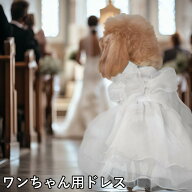 ワンちゃん ドレス ウエディング ドッグウェア ペット服 犬服 パーティー おしゃれ 可愛い リボン レース…