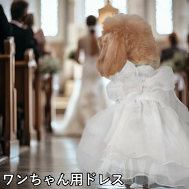 ワンちゃん ドレス ウエディング ドッグウェア ペット服 犬服 パーティー おしゃれ 可愛い リボン レース リングドッグ 成人式 結婚式 写真 映え 記念日 お祝い ホワイト 白