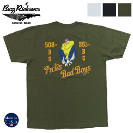 バズリクソンズ BUZZ RICKSON'S 半袖 Tシャツ 508th BOMB SQ. Made in U.S.A BR79261