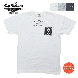 �o�Y���N�\���Y BUZZ RICKSON'S �X���u���[�� ���� T�V���c �v�����g VF-17 JOLLY ROGER BR79561