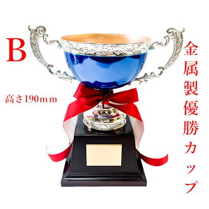 A[XgtB[DJbv W3110 BTCY v[g u[ gtB[ St {t TbJ[ 싅 ⃁bL   oXP o[ ꖳ LOi