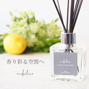 A}[hfBt[U[ KX mobilierirGjiKX{gEIׂ郊[hXeBbN3mm10{EIׂIC90mlE) A}fBt[U[ fBt[U[ [hfBt