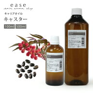 キャスター 100ml 500ml 【キャリアオイル ベースオイル】ひまし油　エドガーケイシー　マッサージオイル…