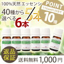\今だけP10倍&Winter blendが選べる/40種から選べる 精油 5ml 5→6本set 送料無料・100%ピュア(アロマオイル エッセンシャルオイル...