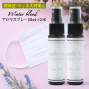 マスクスプレー 2本セット アロマスプレー Winter Blend 30ml☆風邪・インフルエンザが気になる季節に☆メール便可【Familiar Series...