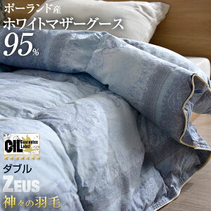 _E95 _X̃_EPbgy10Nۏ؁z { _EPbg Hє|zc zCg }U[ O[X _E 95% _u O CILv`ix L R 484dpȏ | Hѕzc 