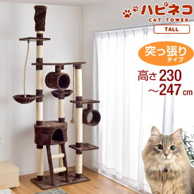 楽天市場 キャットタワー 突っ張り 230 247cmの通販