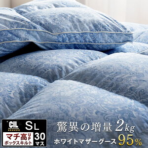 y{5%OFFN[|z H2{ Hѕzc ق̑2kg 30}XLg}`2{8cm |[hY zCg }U[ O[X _E 95 VO O Hѕzc 440dpȏ 180mmȏ