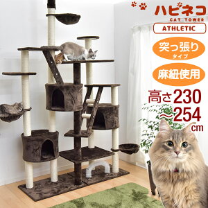 キャットタワー 突っ張り ハンモックの人気商品 通販 価格比較 価格 Com キャットタワー 突っ張り ハンモックの人気商品 通販 価格比較 価格 Com