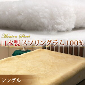 y~5%OFFN[|z { [gV[c VO R h_j L Z [g V[c 100×200 ~pbh ~pbh r E[  t@[ [gt[X {v  E[