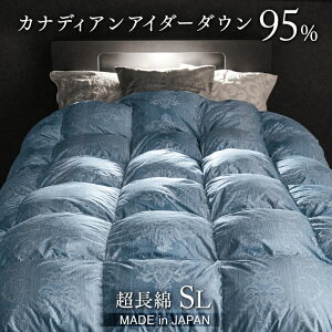 y~N[|5%z Hт̎ Ji_Y Hѕzc VO O AC_[_E95% { 100 ̃Lg  300Te 5Nۏ VOO AC_[_E AC_[ _E