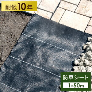 Ng鍂x 170g/m2 hV[g 1m×50m ό10N x ܕsv V[g lH Œ K[fjO DIY K[f  lH   V[g Gh~V[g  悯V[g 