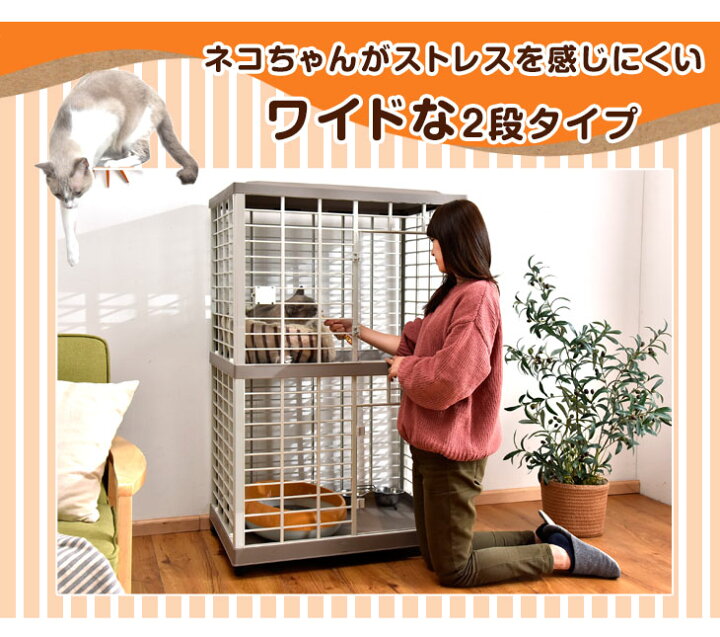 楽天市場】【本日5%OFFクーポン】 錆びないプラスチック製！キャット 